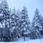 Tykkylae Ruka - Ski, Nature & Peace, Sauna, Fast Wifi Villa
