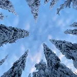 Villa Tykkylae Ruka - Ski, Nature & Peace, Sauna, Fast Wifi Kuusamo