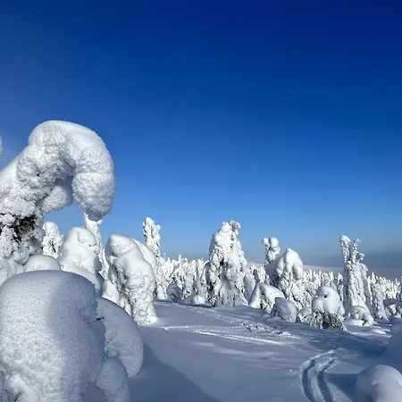 Tykkylae Ruka - Ski, Nature & Peace, Sauna, Fast Wifi ヴィラ クーサモ