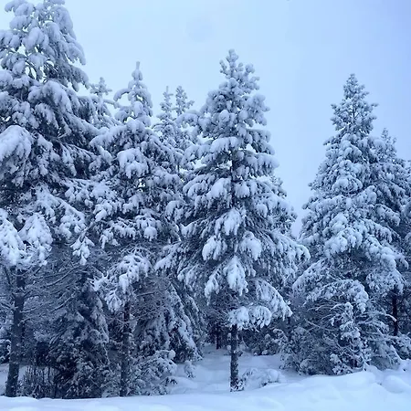 Tykkylae Ruka - Ski, Nature & Peace, Sauna, Fast Wifi ヴィラ