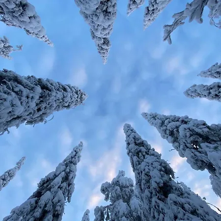 ヴィラ Tykkylae Ruka - Ski, Nature & Peace, Sauna, Fast Wifi クーサモ