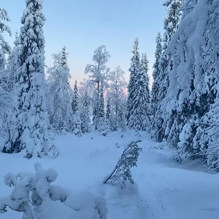 Tykkylae Ruka - Ski, Nature & Peace, Sauna, Fast Wifi * クーサモ