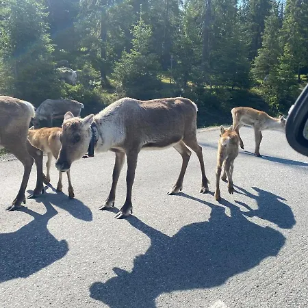 Tykkylae Ruka - Ski, Nature & Peace, Sauna, Fast Wifi