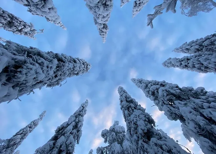 Villa Tykkylae Ruka - Ski, Nature & Peace, Sauna, Fast Wifi Kuusamo