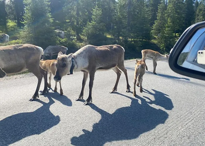 Tykkylae Ruka - Ski, Nature & Peace, Sauna, Fast Wifi